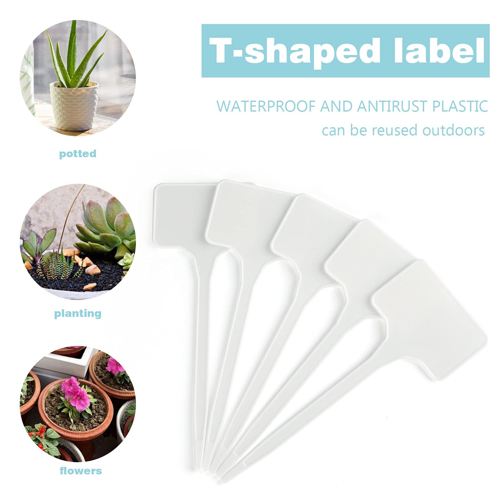 KINGLAKE GARDEN label for flower beds and pots keeps plant names organized.