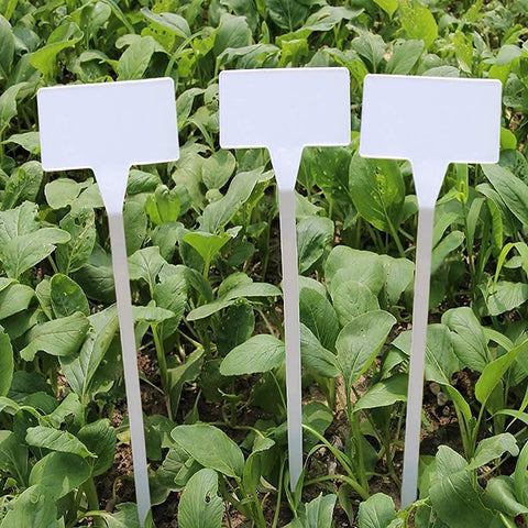 KINGLAKE GARDEN smooth-edge labels prevent snags and offer safe handling.