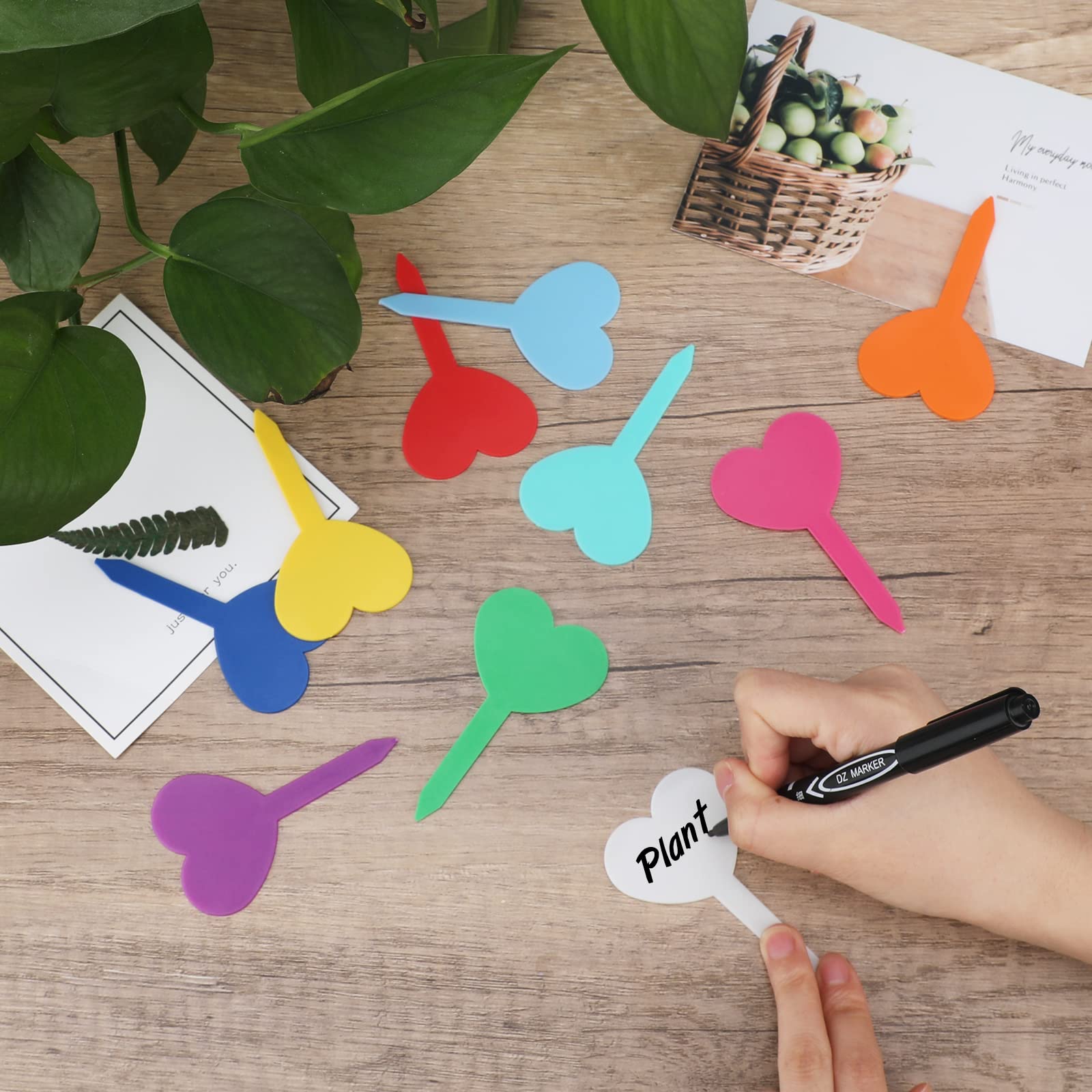 Kinglake Garden ten-color tag set helps color-code plants