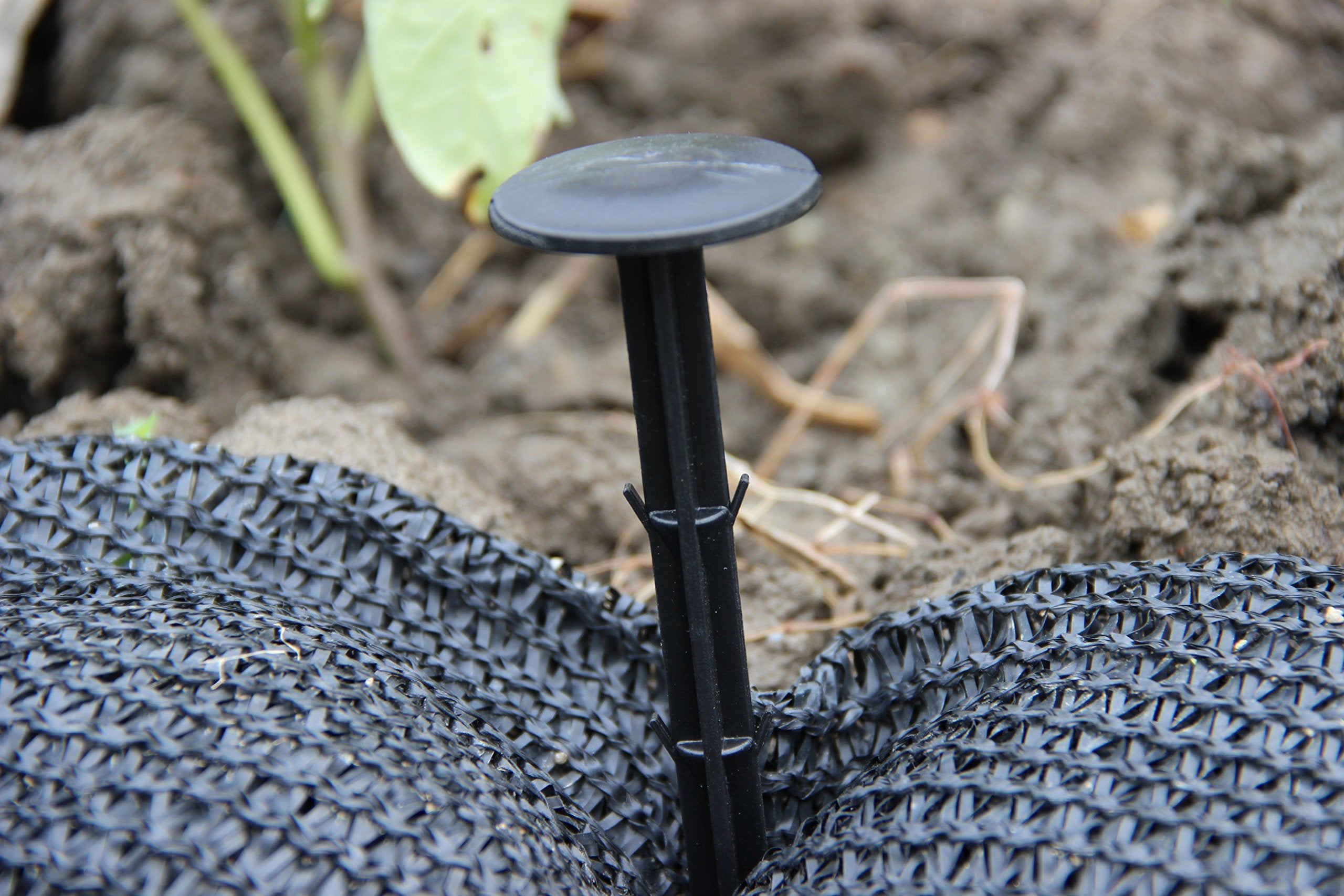 KINGLAKE lawn edging and garden stakes provide reliable ground hold.