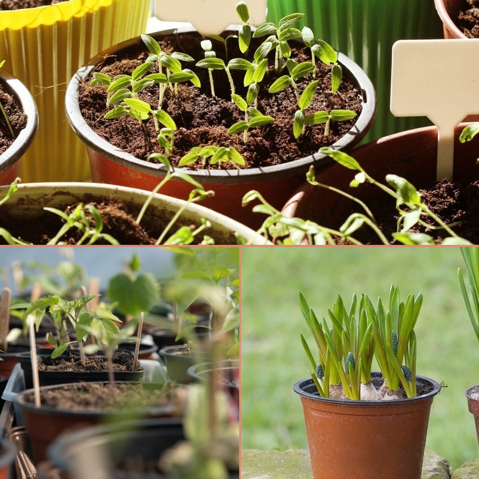 KINGLAKE lightweight pots enable simple reuse and storage.