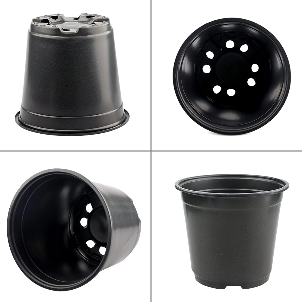 KINGLAKE multipurpose propagation pots for seedlings, cuttings, and decor projects.