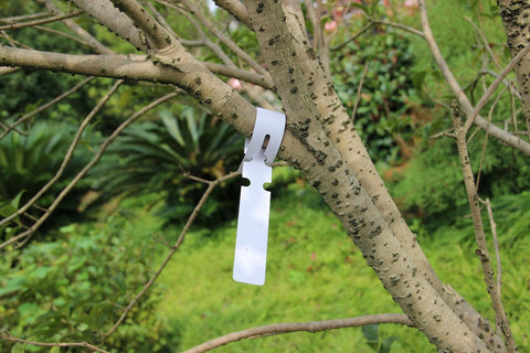 KINGLAKE nursery labels pack keeps rows organized in beds