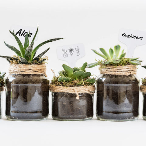 KINGLAKE plant labels easy to clean and reuse after seasons
