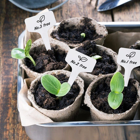 KINGLAKE plant labels suitable for greenhouse and wet environments