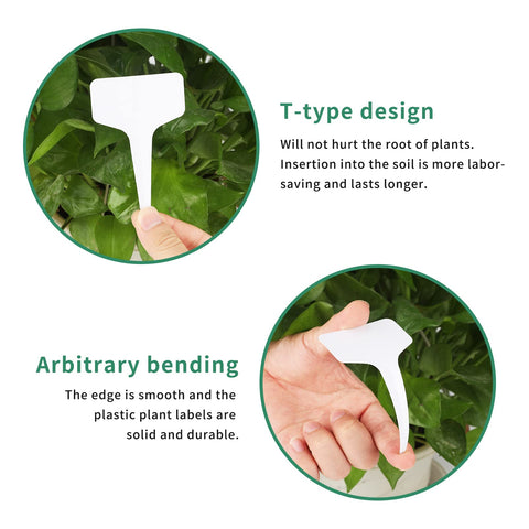 KINGLAKE plant labels for indoor seedlings and pots