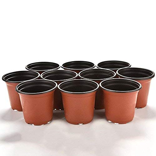 KINGLAKE plant transition pots aid smooth transplanting.
