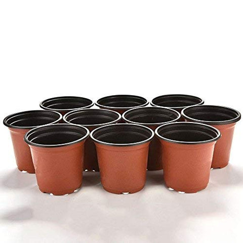 KINGLAKE plant transition pots aid smooth transplanting.
