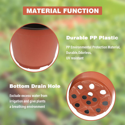 KINGLAKE plastic pot is lightweight and durable for quick seed starting.