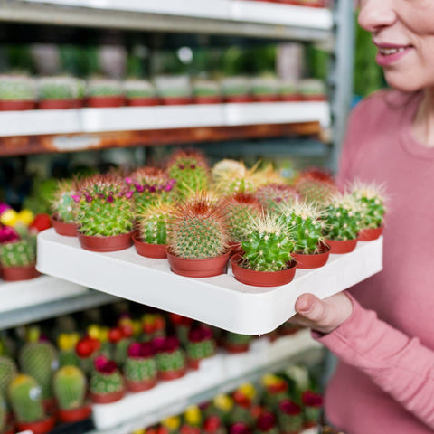 Kinglake reusable nursery pots, easy to clean and store for next planting season