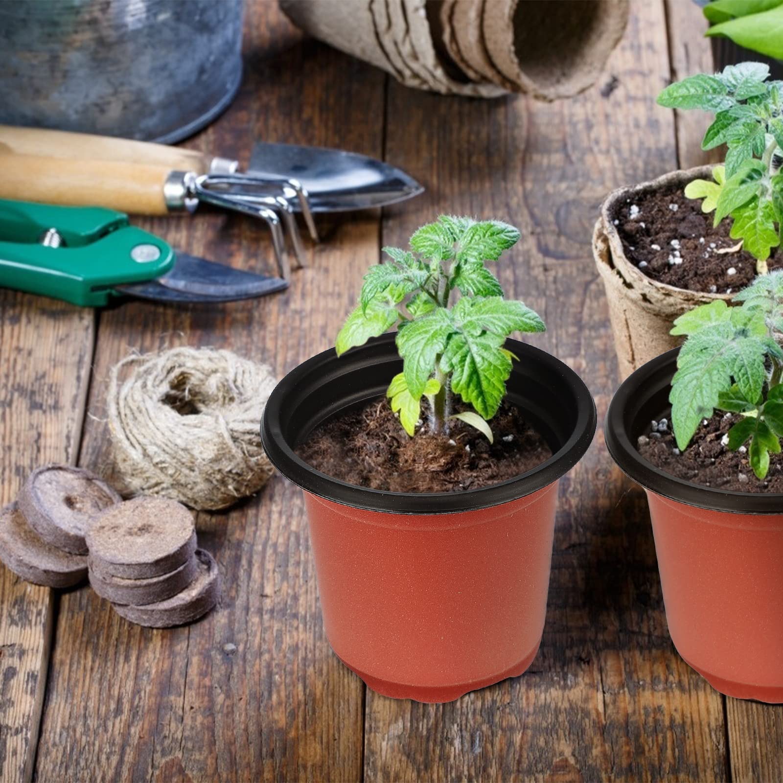 KINGLAKE seed starting pots in a 100-pack, efficient propagation.
