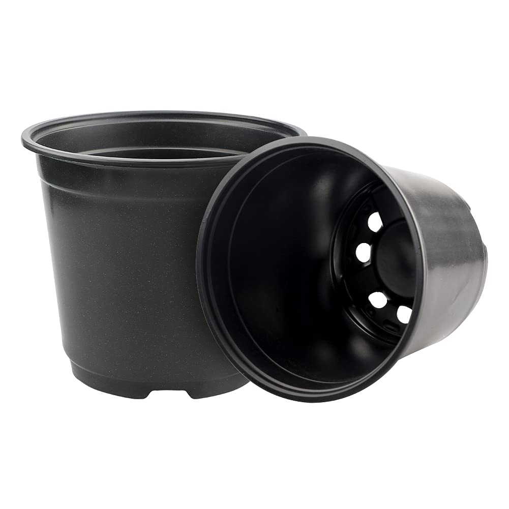 KINGLAKE seedling and cutting transition pots streamline hardening and relocation.