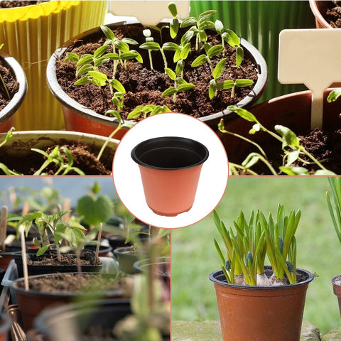 KINGLAKE succulent propagation pot ideal for cuttings and root development.