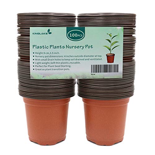 KINGLAKE succulent propagation pots support healthy cuttings.