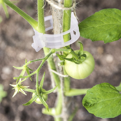KINGLAKE plant-support clip pack demonstrates easy snap-in installation for stake trellis