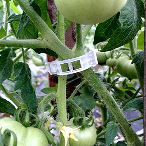 KINGLAKE clip-and-lock design promotes quick repositioning as plants grow