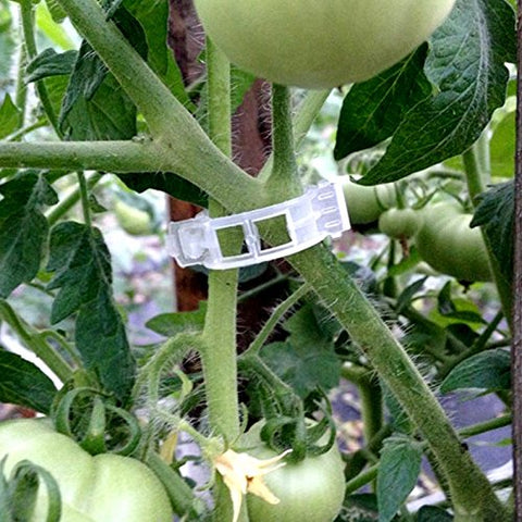 KINGLAKE clip-and-lock design promotes quick repositioning as plants grow