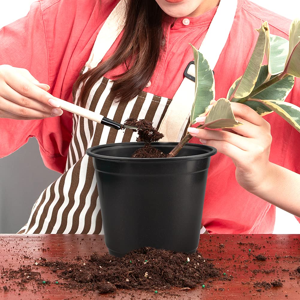 KINGLAKE wide-opening 6-inch pots support strong root establishment.