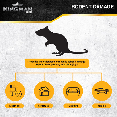 Kingman Prime center-bait setup encourages full-body adhesion.