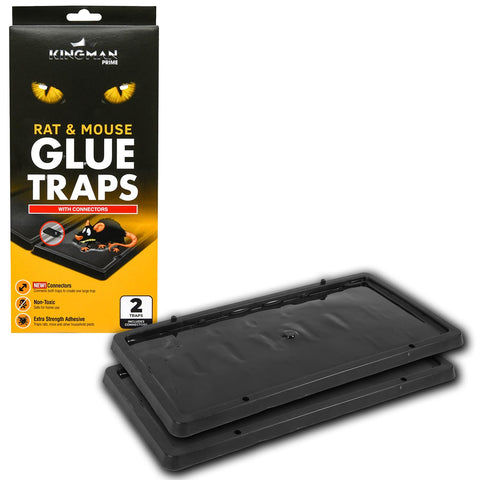 Kingman Prime heavy-duty glue trap ready for high-traffic areas.