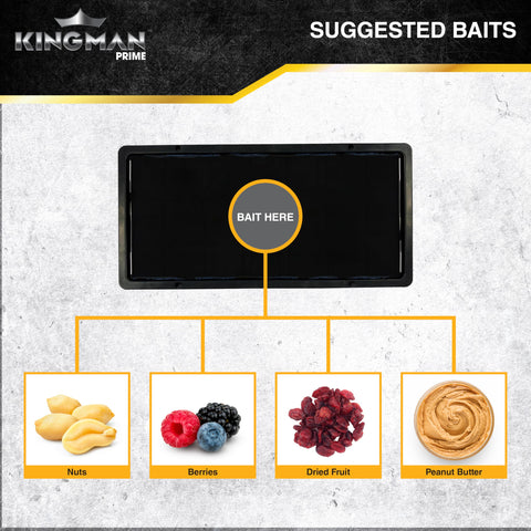 Kingman Prime made in Korea offers premium craftsmanship and durability.