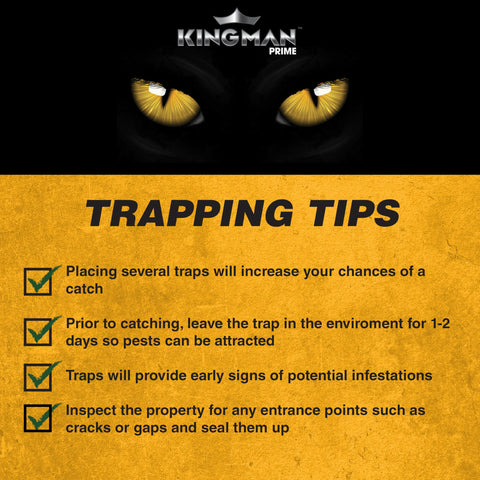 Kingman Prime versatile in homes, kitchens, warehouses, and offices.