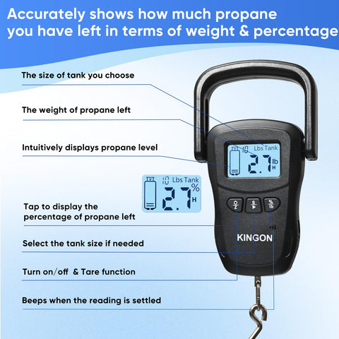 Kingon scale with stainless steel hook and beam for rugged use.