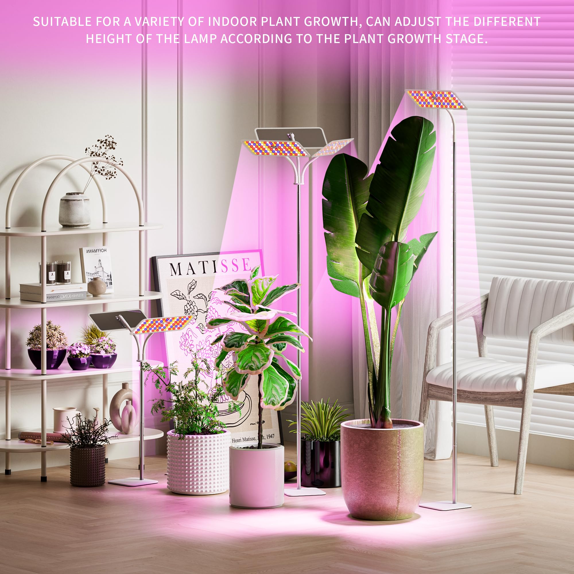 Height-adjustable KINGPLUS stand accommodates tall and small plants with consistent lighting.