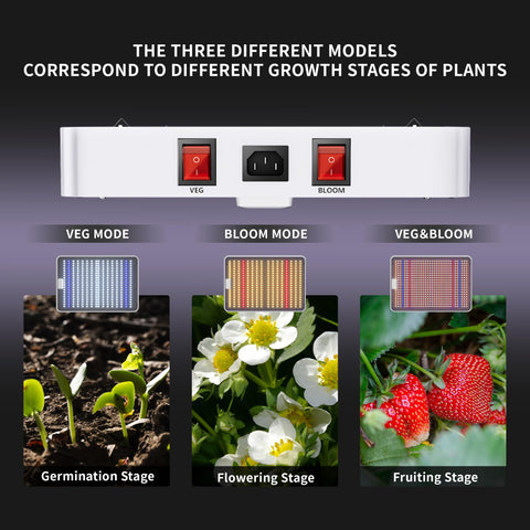 KINGPLUS Kingled KP2000 veg mode supports vegetative growth with blue-white spectrum