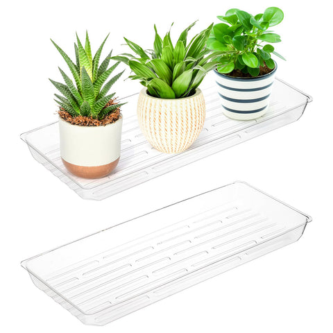 Kingrol clear plant tray shows airflow bottom, guarding surfaces.