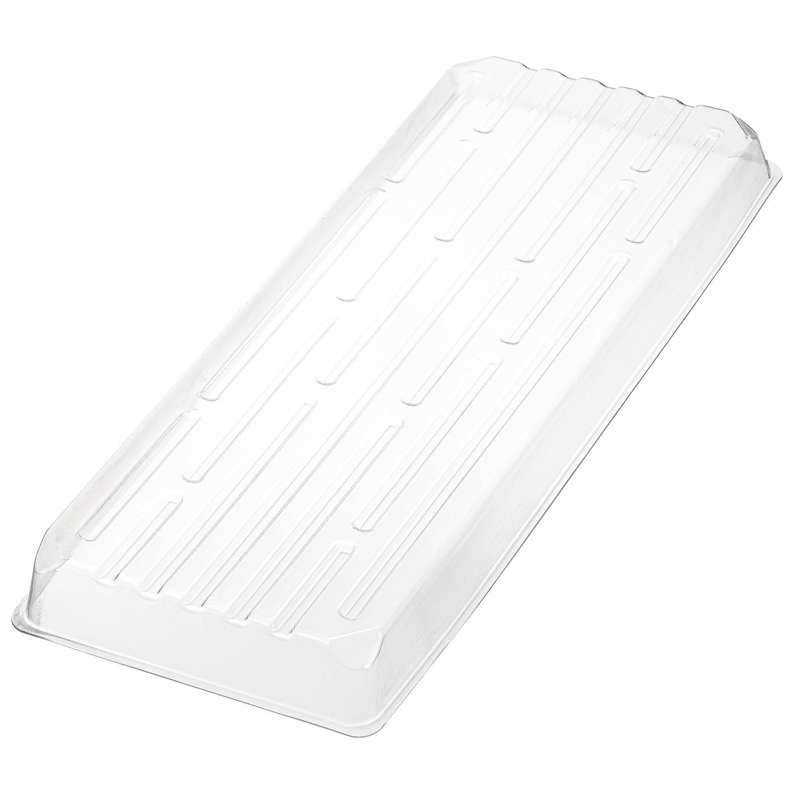 Kingrol clear saucers on a windowsill protect floors from watering splashes.