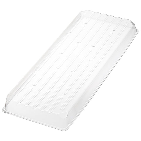 Kingrol clear saucers on a windowsill protect floors from watering splashes.