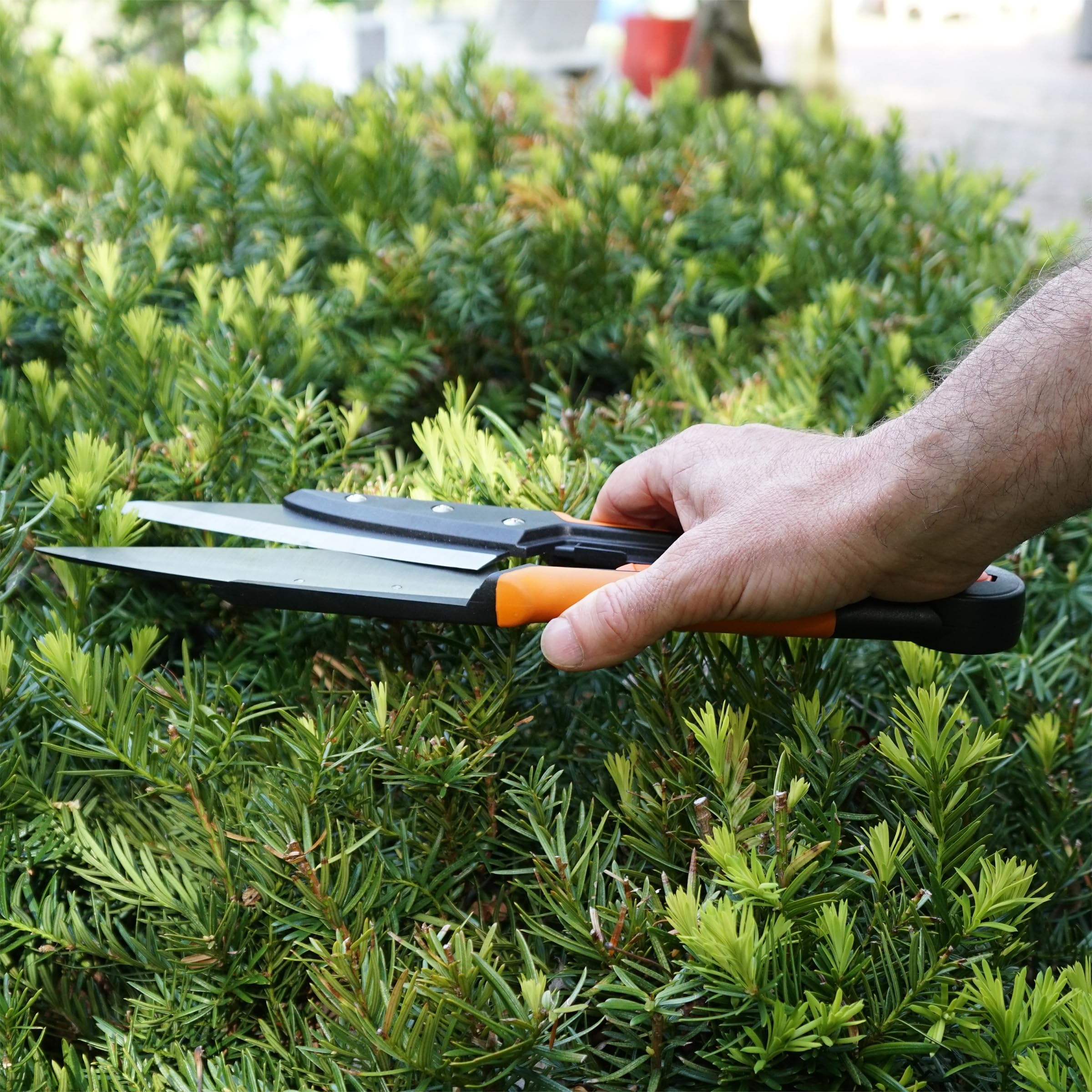 Kings County Tools clippers in action for edging and weed control.