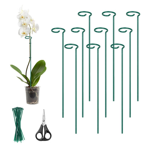 Kingsyard 16-inch plant stake with open-ring design supports upright growth.