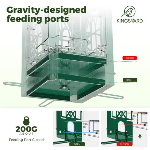 Kingsyard 5 lbs capacity feeder holding seeds for cardinal and bluebird visits