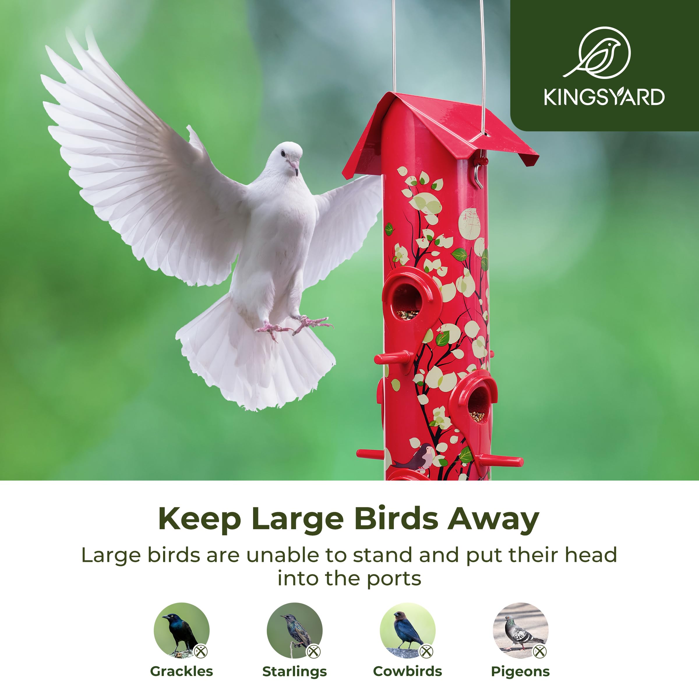 Kingsyard feeder features six ports and perches for multiple birds feeding