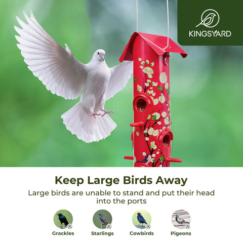 Kingsyard feeder features six ports and perches for multiple birds feeding