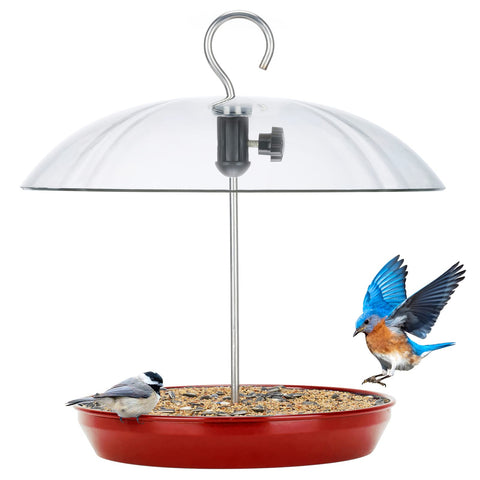 Kingsyard adjustable platform feeder for outdoors hangs securely, inviting a variety of visiting birds.