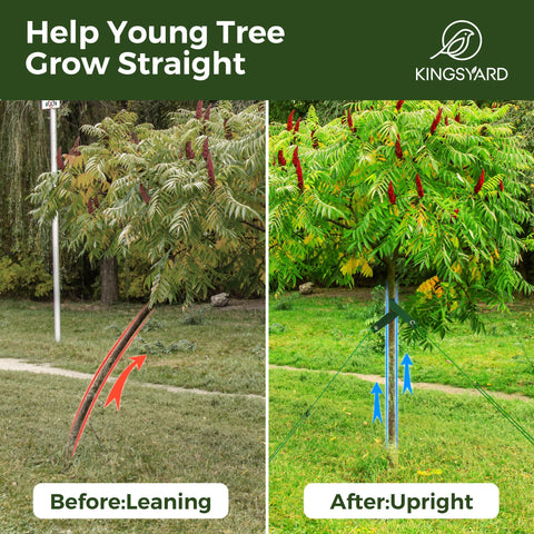 Kingsyard 13ft anchoring ropes minimize tree movement in wind