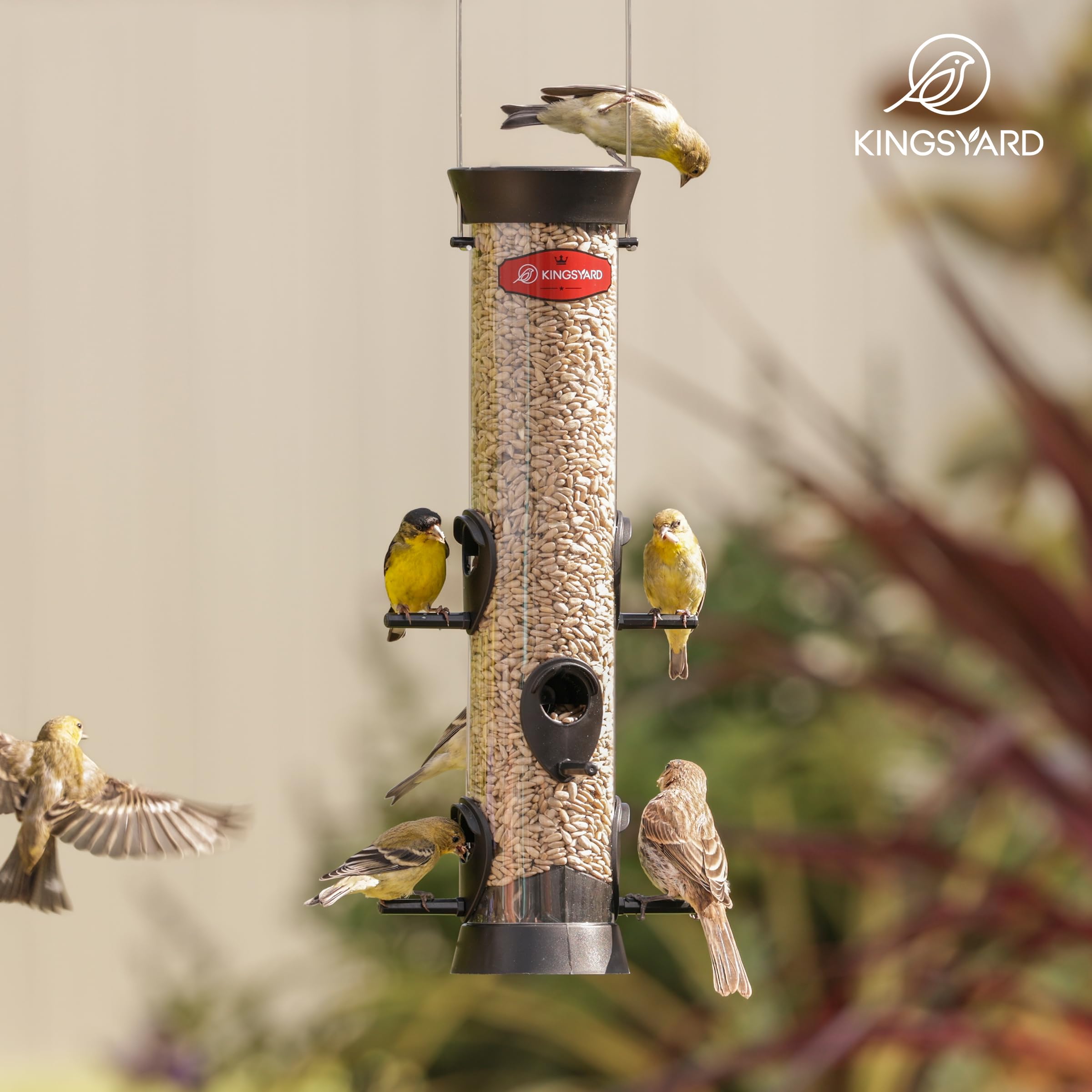 Kingsyard feeder attracts finches and cardinals for joyful backyard birdwatching.