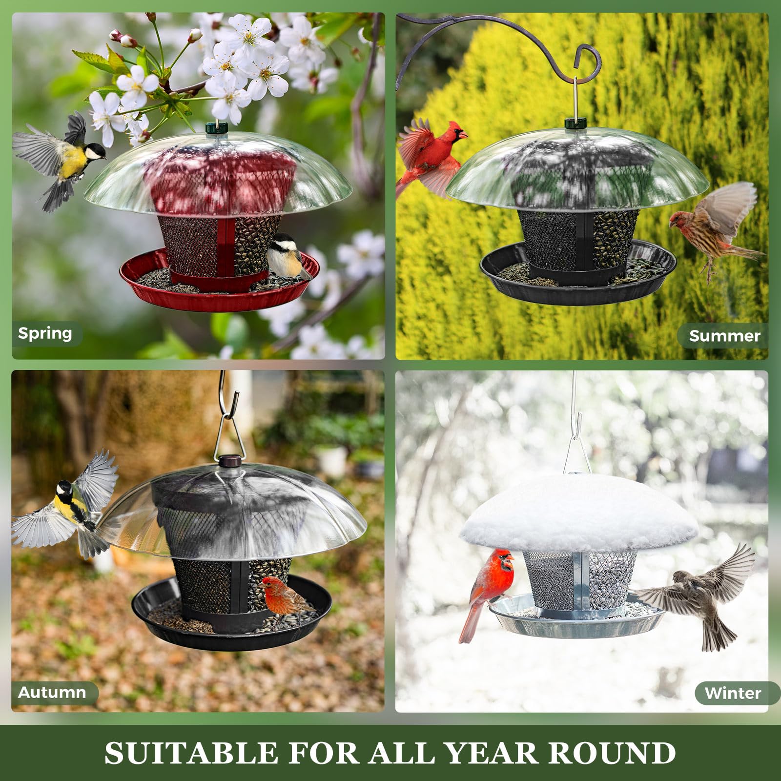 Ideal backyard setup by Kingsyard to attract cardinals and finches