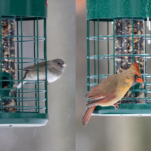 Kingsyard all-weather durability withstands gnawing and weather for year-round feeding