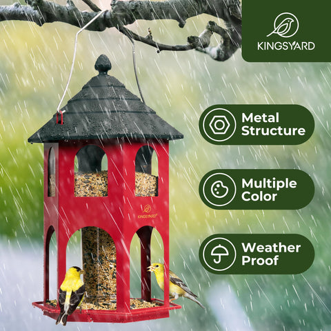 Kingsyard bird feeder with circular perch supporting multiple birds.