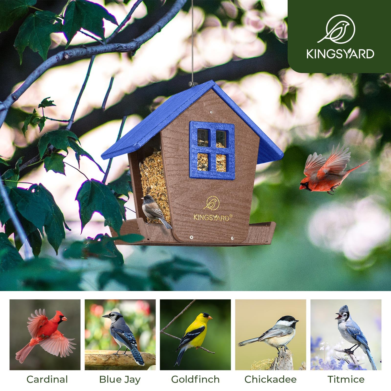 Kingsyard large-capacity hopper feeds seeds for varied backyard birds.