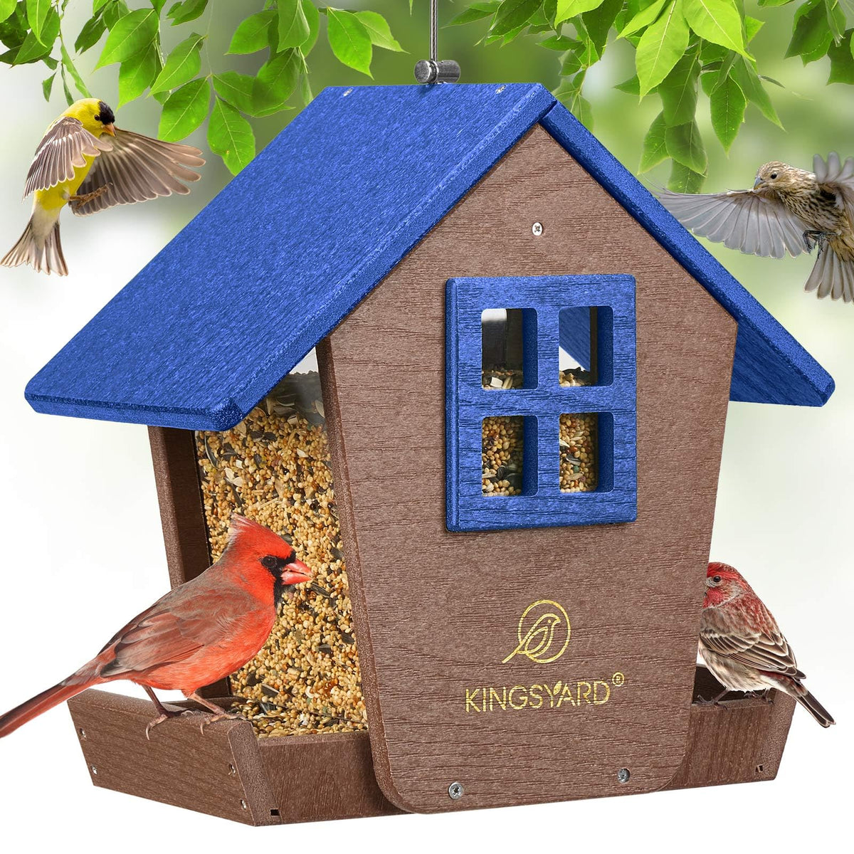 Kingsyard bird feeder house with blue roof attracts cardinals and bluebirds.