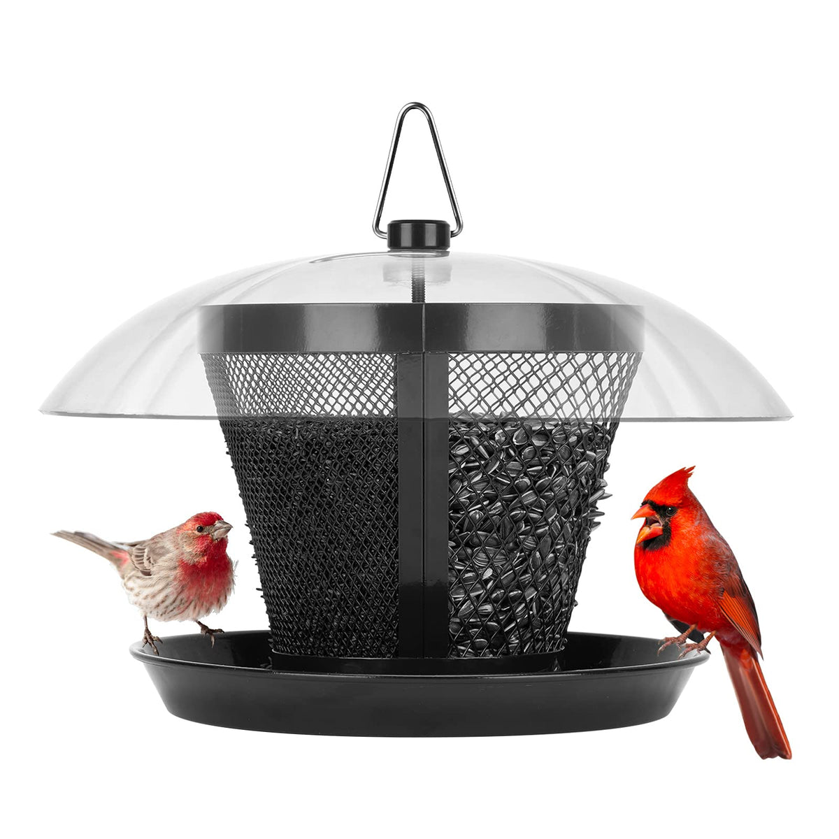 Kingsyard Bird Feeder with dual compartments offering separate seed types for diverse birds.
