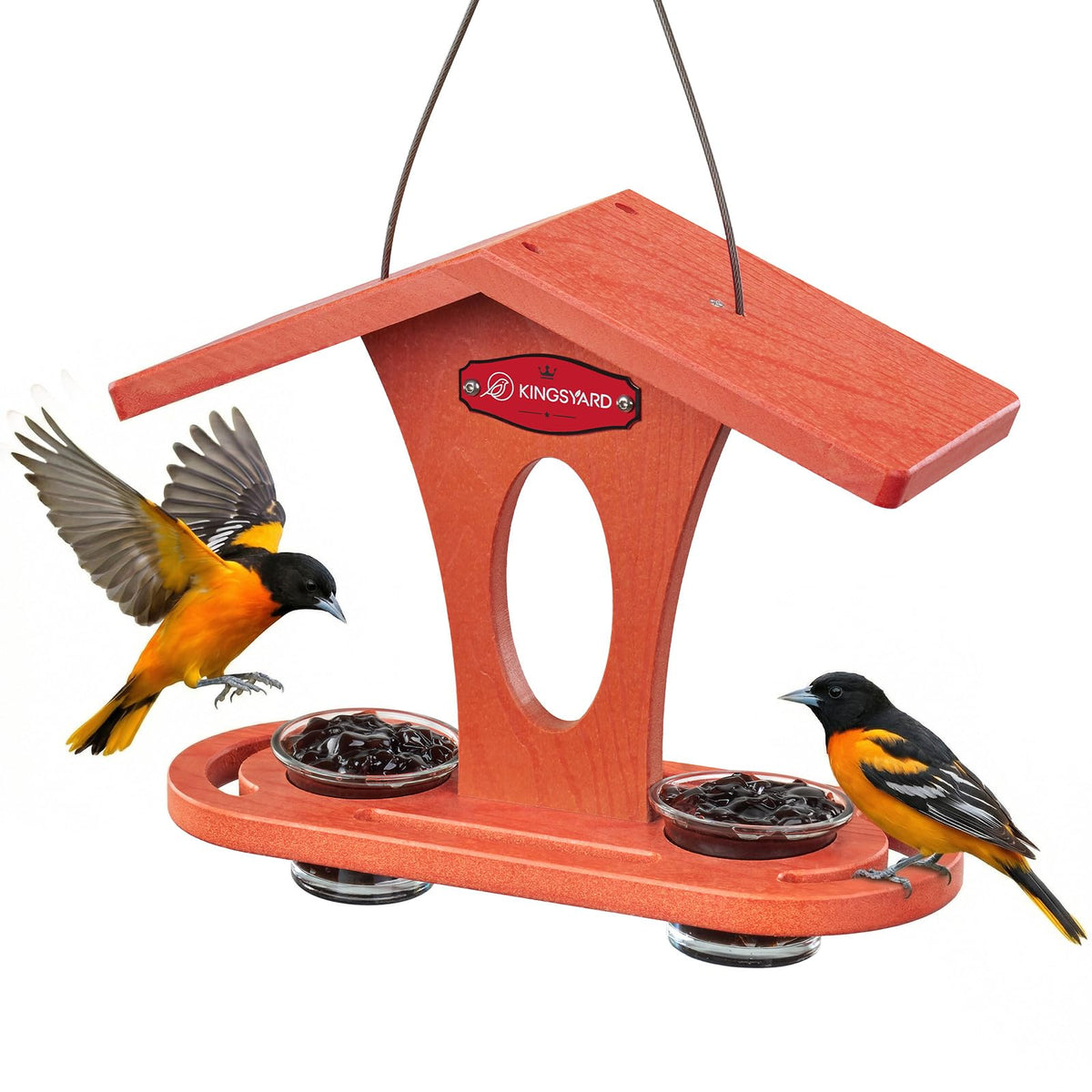 Kingsyard bird feeder outdoors with orange finish attracts orioles and enhances garden décor.