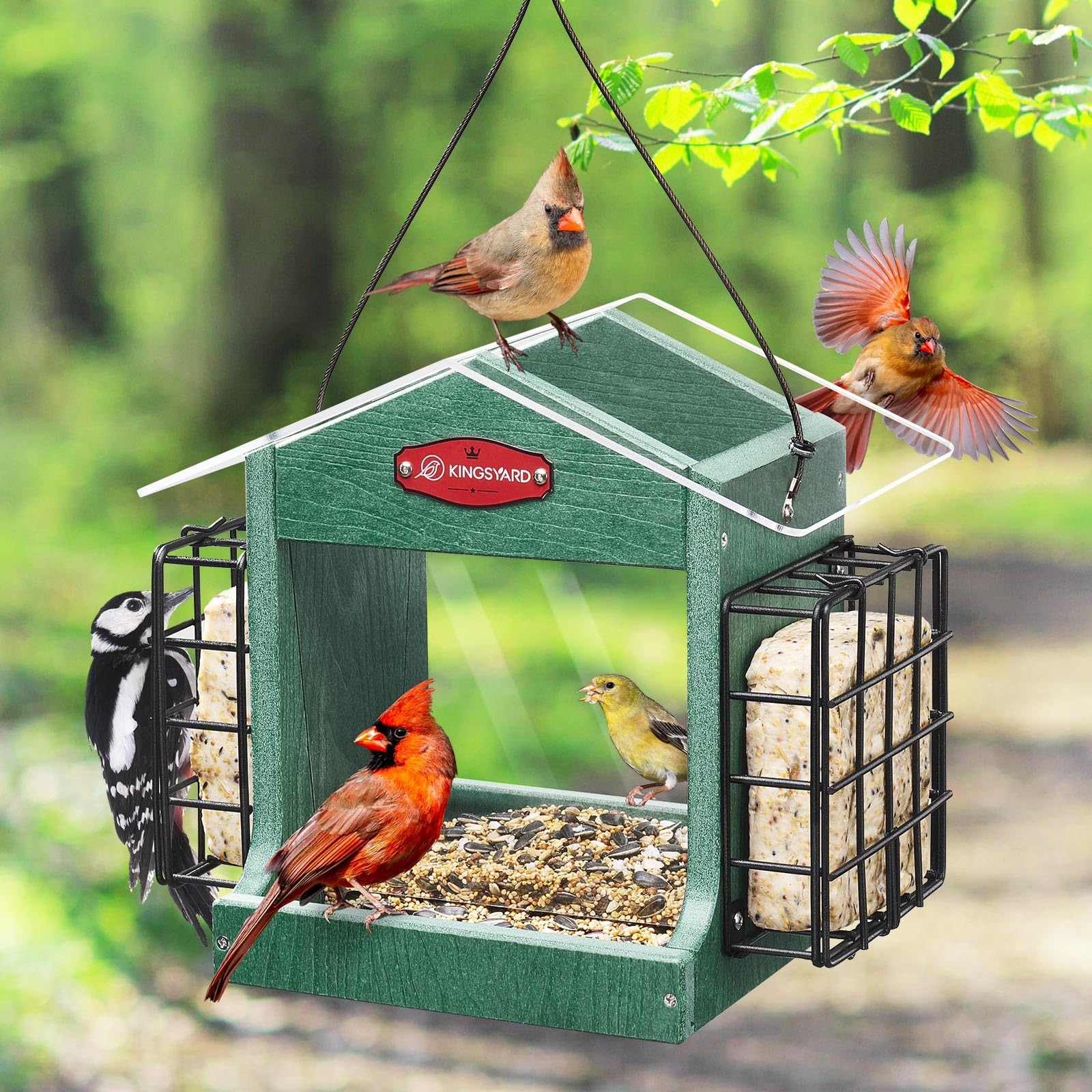 Kingsyard outdoor hanging bird feeder with clear panels and ample capacity for multiple birds.