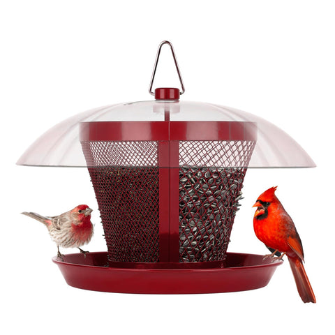 Kingsyard weatherproof bird feeder with clear dome protects seeds outdoors