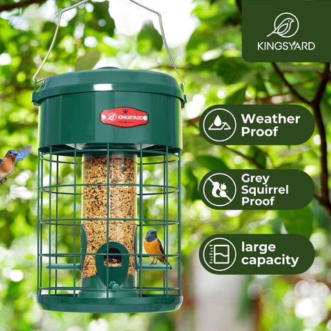 Kingsyard bird feeder perches offer inviting spots for visiting birds